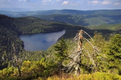 09Šumava hegység Černé jezero